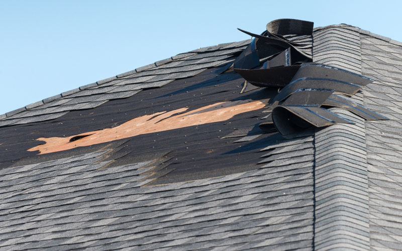 4 Most Common Roof Problems in Langhorne, PA