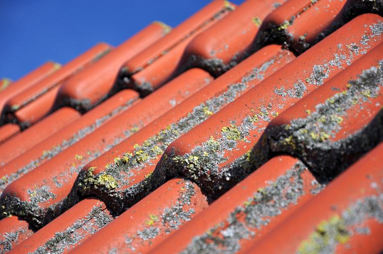Debunking Common Roof Cleaning Myths